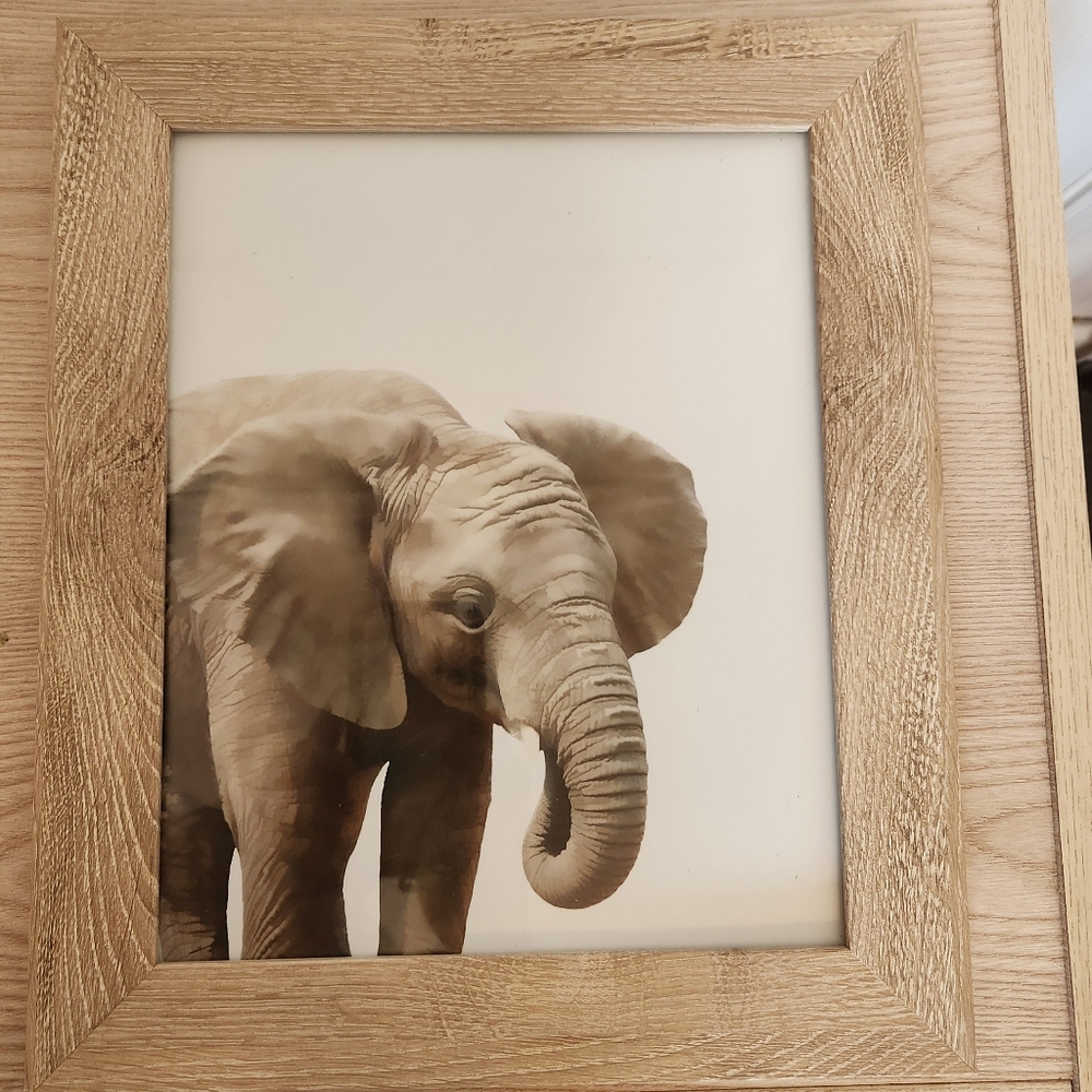 Room Essentials Alabaster Oak Frame w/ Baby Elephant Art